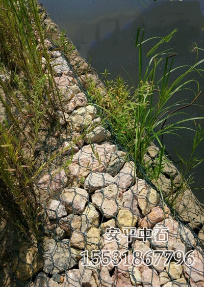 固濱籠網護腳 固濱籠網護腳